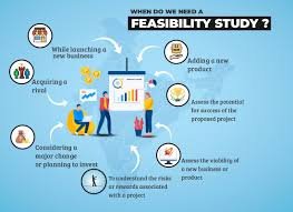 Project Feasibility Studies